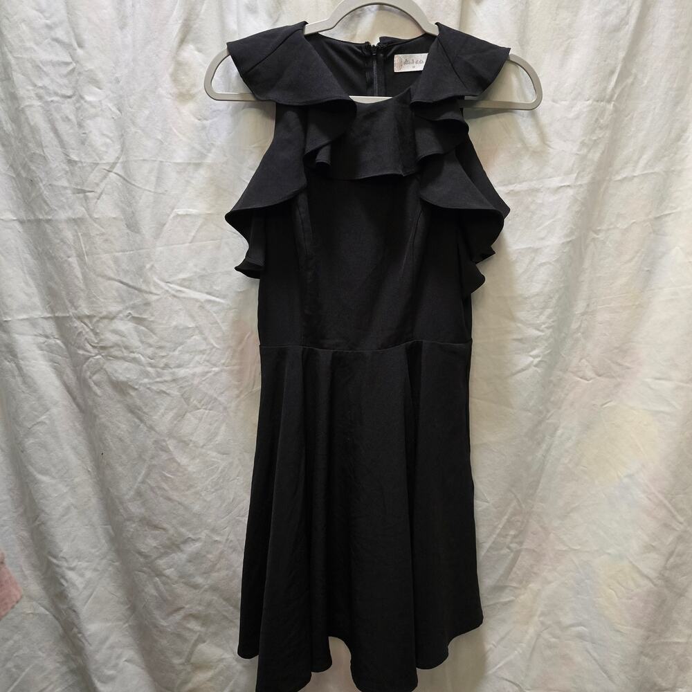 Altar'd‎ State black sleeveless ruffle mini dress circle skirt back zip medium